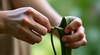 Pruning Vanilla Bean Vines: Encouraging Growth and Production